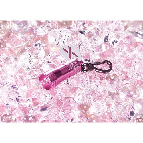 Lampes de poche Nano Light Kelford