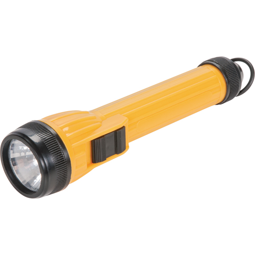 Lampe de poche AFL100, DEL, 28 lumens, Piles AA Kelford