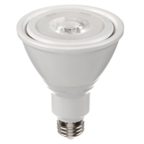 Ampoule DEL, PAR30, 10 W, 800 lumens, base Moyen Kelford