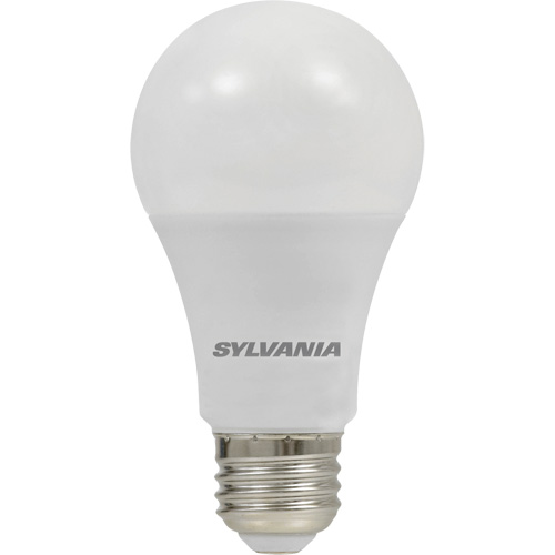 Ampoule DEL, A19, 8,5 W, 800 lumens, base Moyen Kelford