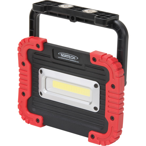 Portable Work Light, LED, 10 W, 1000 Lumens, Plastic Housing Kelford