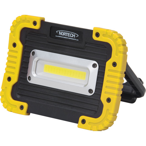 Portable Work Light, LED, 10 W, 1000 Lumens, Plastic Housing Kelford