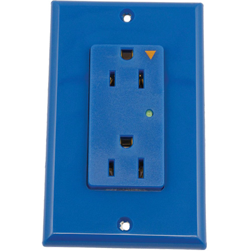 Surge Protective Isolated Decora&reg; Outlet Kelford