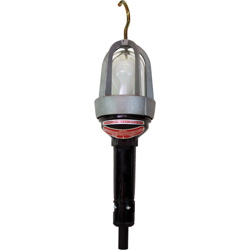 Baladeuses pour emplacements dangereux Kelford