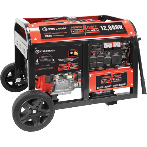 Gasoline/Propane Generator with Electric Start Kelford