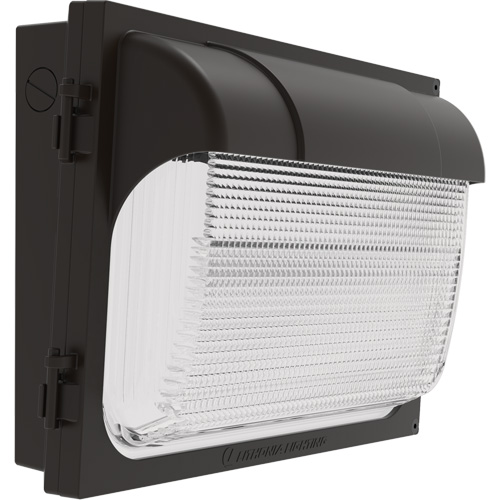 TWX Wall Luminaire, LED, 480 V, 9 W - 54 W, 14" H x 18" W x 5" D Kelford