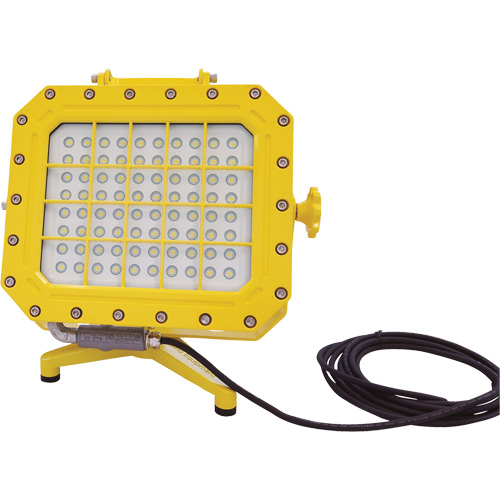 Explosion Proof Floodlight with Floor Stand, LED, 40 W, 5600 Lumens, Aluminum Housing Kelford