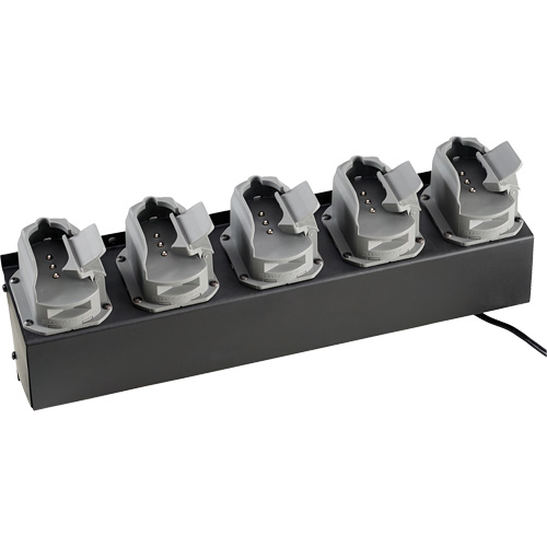 Chargeur de batteries de lampe de poche Survivor X Kelford