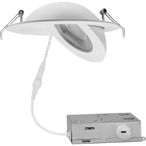 Luminaire &agrave; cardan, DEL, 120 V, 9 W Kelford