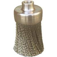 Brosses plates, rondes ou Roto Kelford