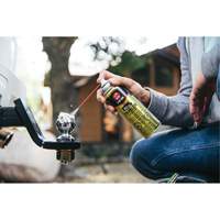 Gel lubrifiant pour remorque 3-in-One, Canette a&eacute;rosol Kelford