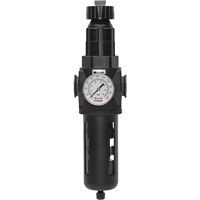 Modulair 400 Filter/Regulator with Manual Drain, 3/4" NPT, 200 psi, 9.1 fl. oz. Capacity Kelford