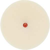 Scotch-Brite Moulding Adhesive & Stripe Removal Disc, 7501, 4" Dia. Kelford