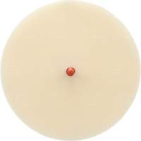 Scotch-Brite Moulding Adhesive and Stripe Removal Disc 7502, 6" Dia. Kelford