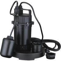 Thermoplastic Submersible Sump Pump, 2560 GPH, 115 V, 4.6 A, 1/3 HP DC843 | Kelford