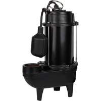 Cast Iron Effluent Pump, 5600 GPH, 120 V, 10 A, 3/4 HP DC847 | Kelford