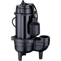 Cast Iron Sewage Pump, 120 V, 10 A, 6400 GPH, 3/4 HP DC849 | Kelford