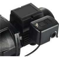 Dual Voltage Cast Iron Shallow Well Jet Pump, 115 V/230 V, 1100 GPH, 1 HP DC853 | Kelford