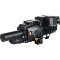 Dual Voltage Cast Iron Convertible Jet Pump, 115 V/230 V, 1100 GPH, 1/2 HP DC855 | Kelford