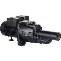 Dual Voltage Cast Iron Convertible Jet Pump, 115 V/230 V, 1400 GPH, 3/4 HP DC856 | Kelford