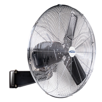 Non-Oscillating Wall Fan, Industrial, 30" Dia., 2 Speeds EA656 | Kelford