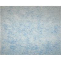 Filtres en m&eacute;dias synth&eacute;tiques &agrave; arrestance &eacute;lev&eacute;e, Tampon, MERV 5, 24" la x 2" p x 12" h Kelford