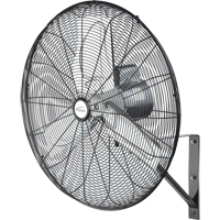 Non-Oscillating Wall Fan, Industrial, 24" Dia., 2 Speeds EA644 | Kelford