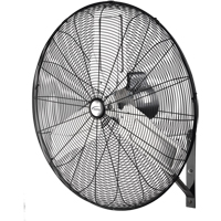 Non-Oscillating Wall Fan, Industrial, 30" Dia., 2 Speeds EA648 | Kelford