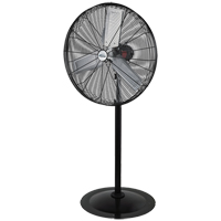 Oscillating Pedestal Fan, Heavy-Duty, 3 Speed, 30" Diameter EA666 | Kelford