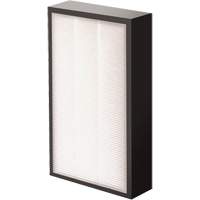 AeraMax&reg; Pro AM2 1-3/4" True HEPA Filter, Box, 7.38" W x 1.88" D x 12.88" H Kelford