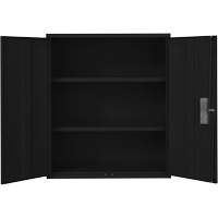 Armoire de rangement Lo-Boy, Acier, 2 Tablettes, 42" h x 36" la x 18" P, Noir Kelford