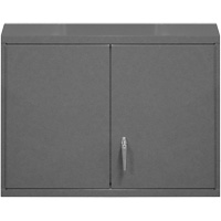 Armoire murale, 27" h x 29-7/8" la x 13-11/16" p, 2 tablettes, Acier, Gris Kelford