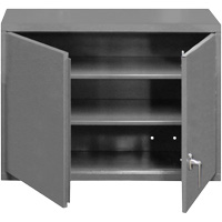 Armoire murale, 27" h x 29-7/8" la x 13-11/16" p, 2 tablettes, Acier, Gris Kelford