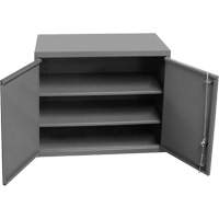 Armoire murale, 27" h x 13-11/16" la x 35-7/8" p, 2 tablettes, Acier, Gris Kelford