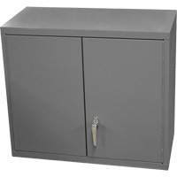 Armoire murale, 27" h x 13-11/16" la x 35-7/8" p, 2 tablettes, Acier, Gris Kelford