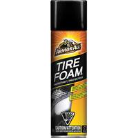 Tire Foam&reg; Protectant Kelford
