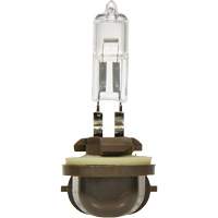 886 Basic Fog Light Bulb, Halogen, 50 W, Off White Kelford