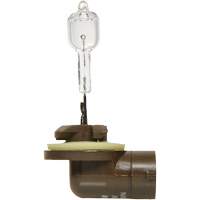 886 Basic Fog Light Bulb, Halogen, 50 W, Off White Kelford