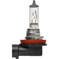 H8 Basic Headlight Bulb FLT984 | Kelford
