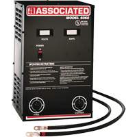 Powerful Performance Parallel Battery Charger Kelford