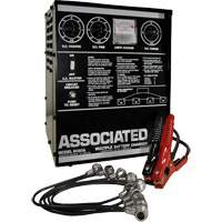 Multi-Battery Series Charger Kelford