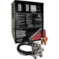 Multi-Battery Series Charger Kelford