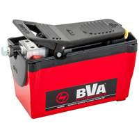 Single Acting 2-Speed Air Pump 122.1 in³ Reservoir Kelford