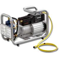 R134A & R1234YF Refrigerant Scavenger with Manifold Kelford