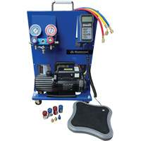 Poste de recharge &eacute;lectronique portable double &agrave; 1 phase R134A/R1234Yf Kelford