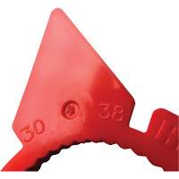 HexChex Multi-Size Loose Wheel Nut Indicator Kelford