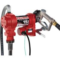12V DC Fuel Transfer Pump with Nozzle Kelford