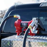 12V DC Fuel Transfer Pump with Nozzle Kelford