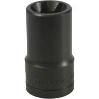 Douille Torx&reg; E-20 Kelford