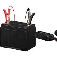 Batterie au lithium &agrave; double usage de groupe 27, 100Ah Kelford